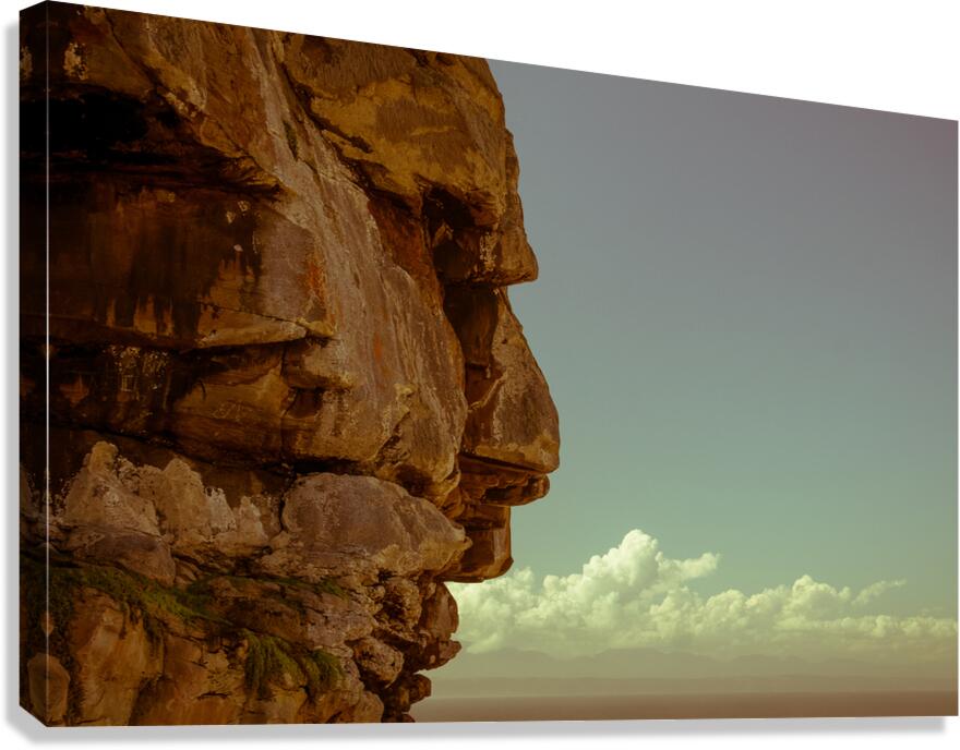 A Face In The Rock  Canvas Print