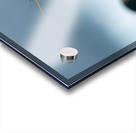 Royal Penguin Acrylic print