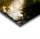 Sunbeam Landscape Acrylic print