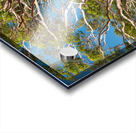 Gum Tree Acrylic print