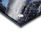 Chinstrap Penguin Acrylic print