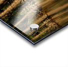 Reflections In The Amazon Acrylic print