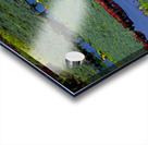 Water Lily on the Amazon River Acrylic print