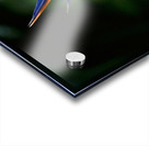 Bird of Paradise Flower Acrylic print