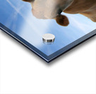 Lorina Acrylic print