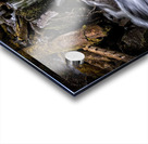 Proxy Creek Oregon Acrylic print