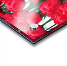 Red Tulips Acrylic print