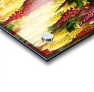 Colorful Lupines Acrylic print