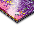 Skullcap Flowers Acrylic print