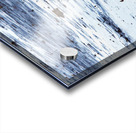 Blue-Winged Teal Acrylic print