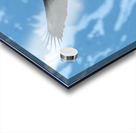 Fishing Bald Eagle Acrylic print