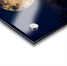 Moon Lit Night Acrylic print