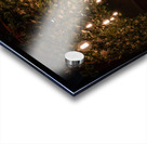 An Enchanting Entrance Acrylic print