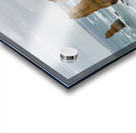 Twelve Apostles Acrylic print