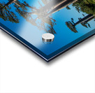 Avenue of the Baobabs Acrylic print