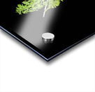 Carrot Love Acrylic print