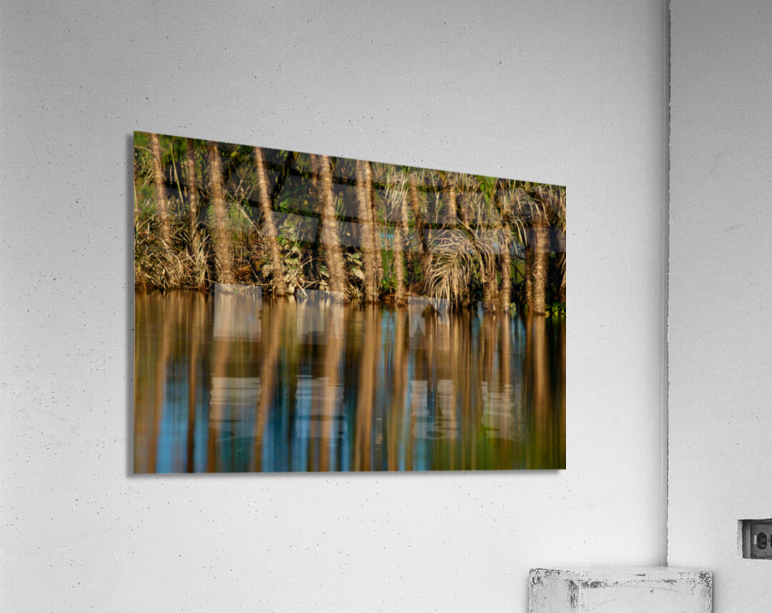Reflections In The Amazon Acrylic Print