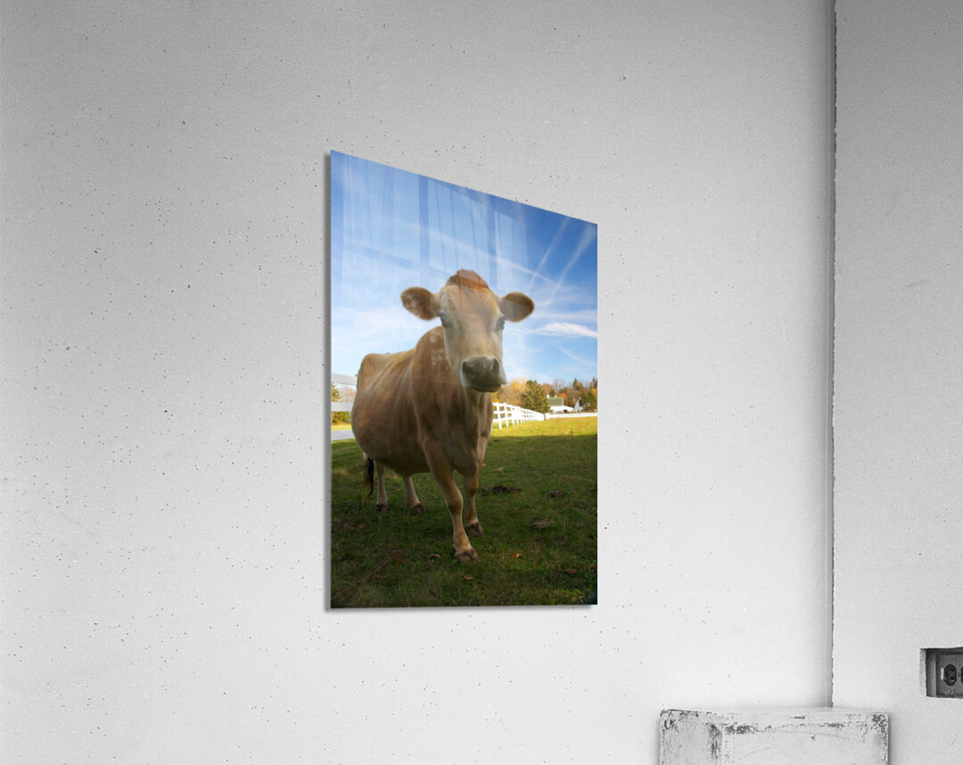 Lorina Acrylic Print