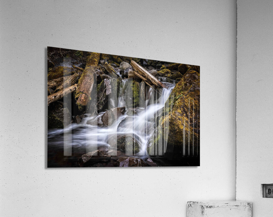 Proxy Creek Oregon Acrylic Print