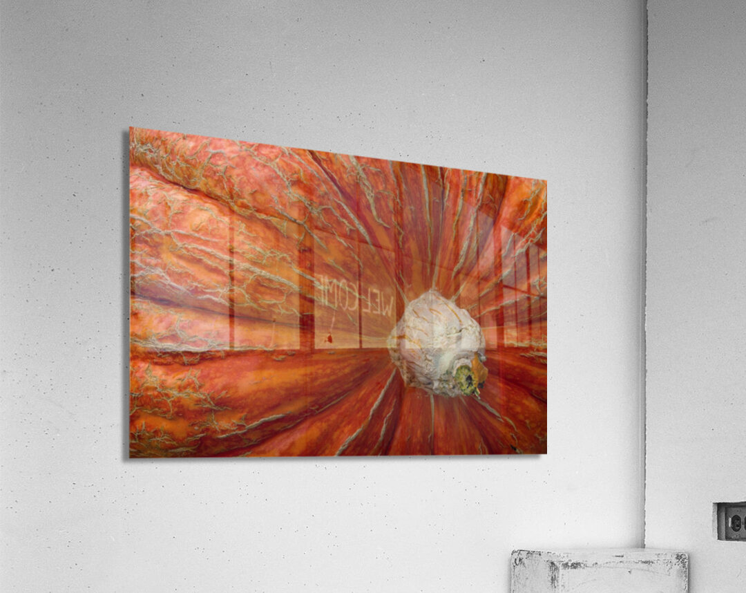 Giant Pumpkin Acrylic Print