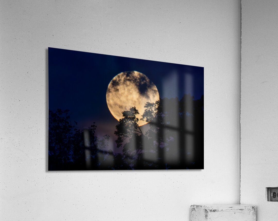 Moon Lit Night Acrylic Print
