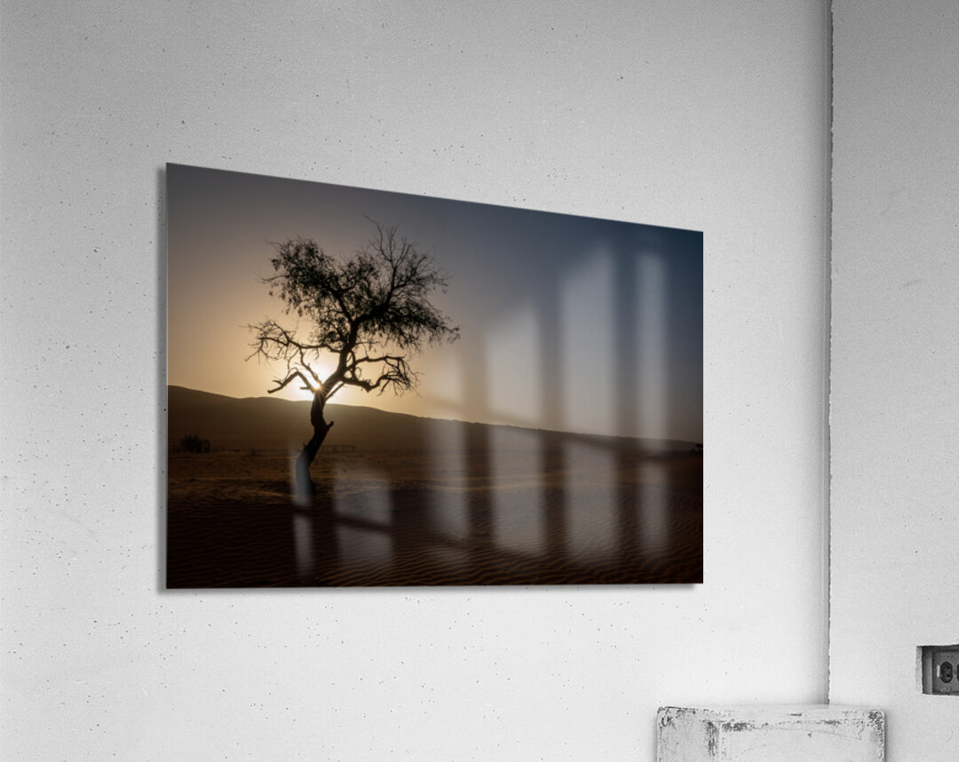 A Lone Tree in the Desert Acrylic Print