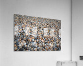 Seashells on the Seashore  Impression acrylique