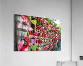 Love Locks  Acrylic Print