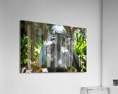 Water Nymph  Acrylic Print