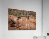 Burrowing Owls  Acrylic Print