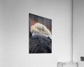 Bald Eagle  Acrylic Print