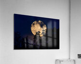 Moon Lit Night  Impression acrylique