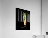 Carrot Love  Impression acrylique