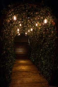 An Enchanting Entrance