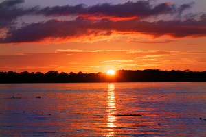 Amazon Sunset