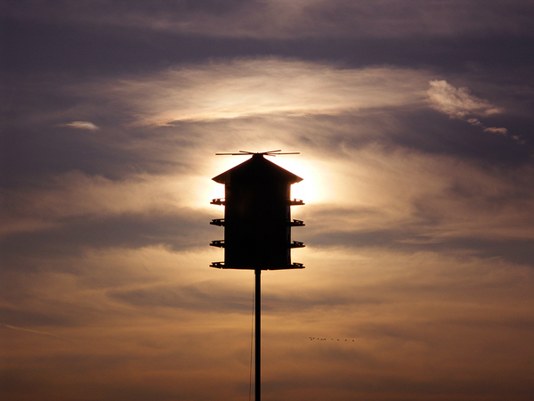 Birdhouse  Imprimer