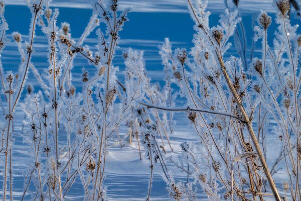 Ice Crystals  Print