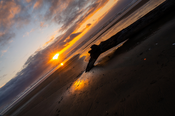California Beach Sunset Print