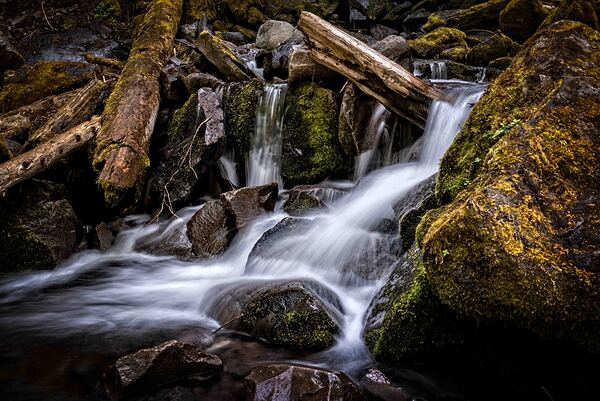 Proxy Creek Oregon Print