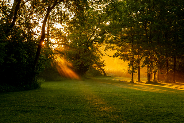 Sunbeam Landscape Print