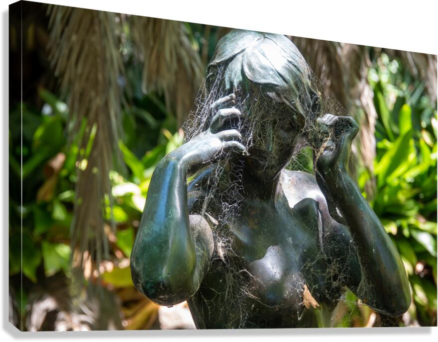 Water Nymph  Canvas Print