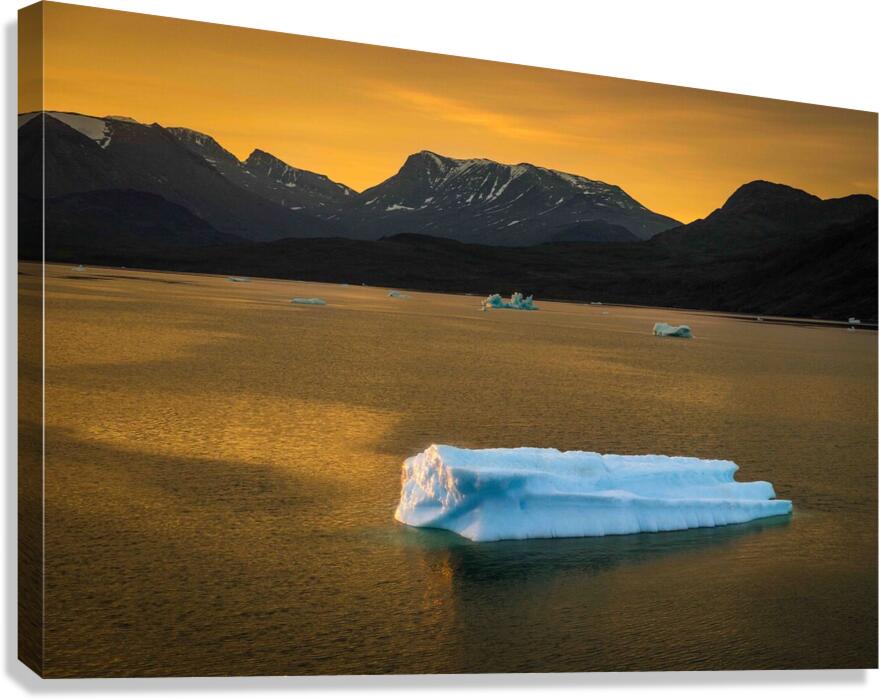 Greenland Iceberg  Canvas Print