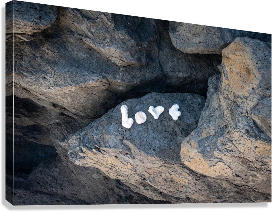 L-O-V-E  Canvas Print