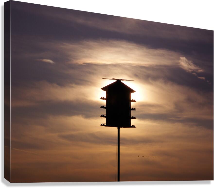 Birdhouse  Canvas Print