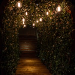 An Enchanting Entrance