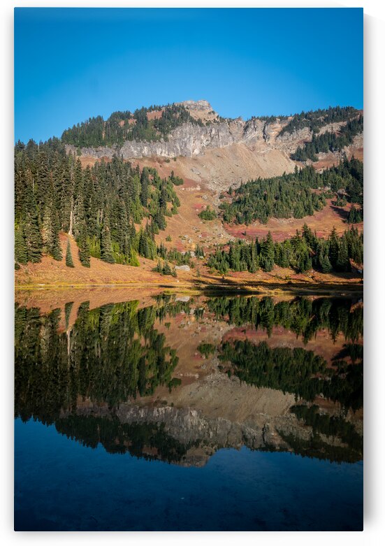 Mount Rainier Mirror Landscape by Adel B Korkor