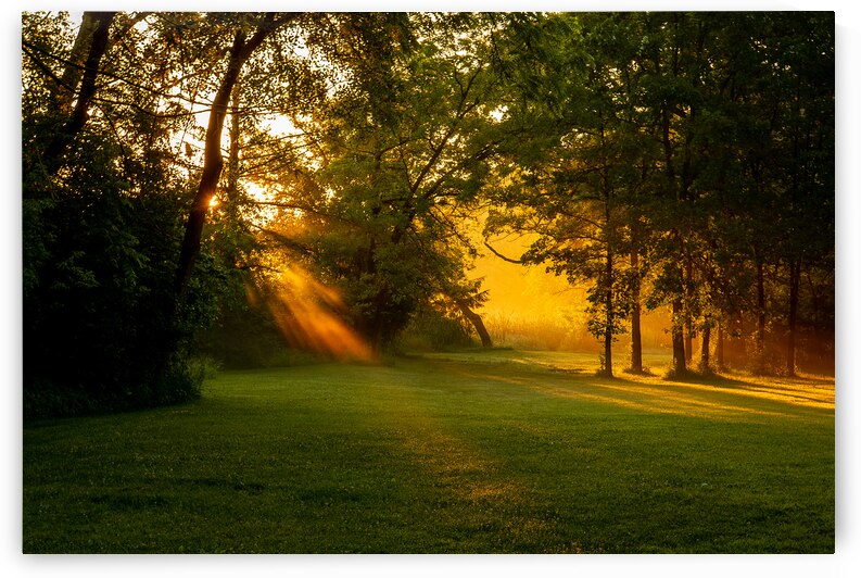 Sunbeam Landscape by Adel B Korkor