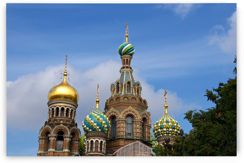 Church Of The Savior On Blood by Adel B Korkor
