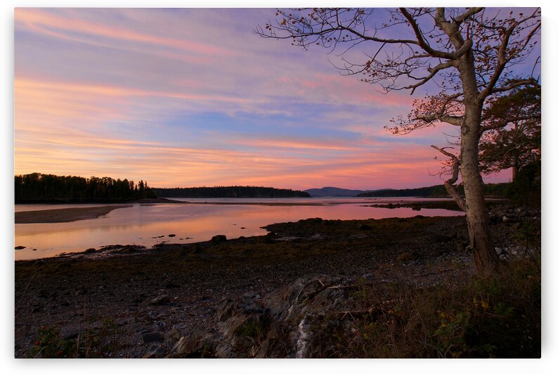 Sunrise In Maine by Adel B Korkor