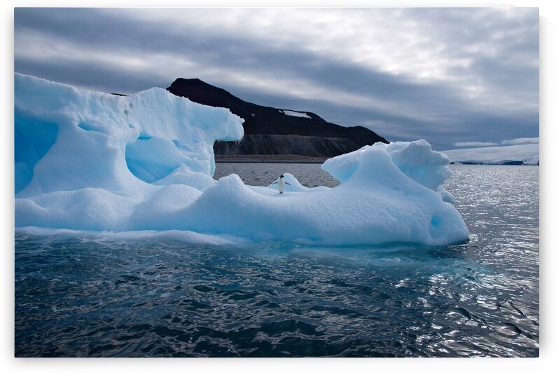 Welcome Home by Adel B Korkor